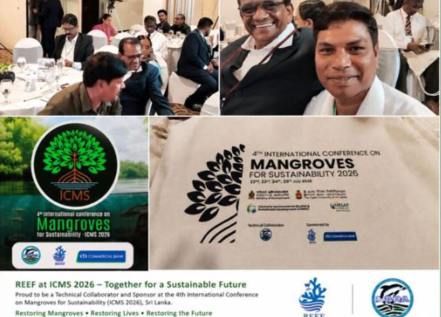 ICMS 2026 - REEF Conference Activities 4