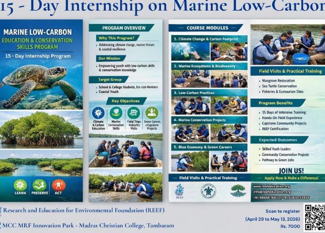 Marine Low-Carbon Internship Program